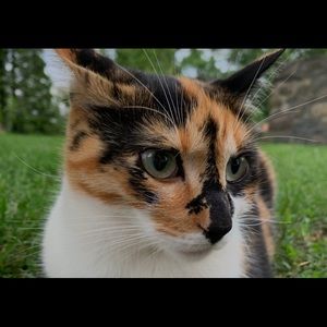 Meet your Posher, Ava